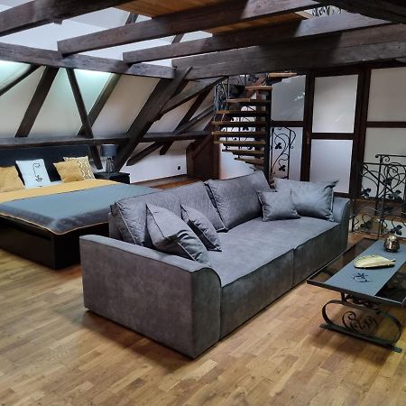 Galerie Vila Lucia 5 -Loft Apartman Пльзень Экстерьер фото